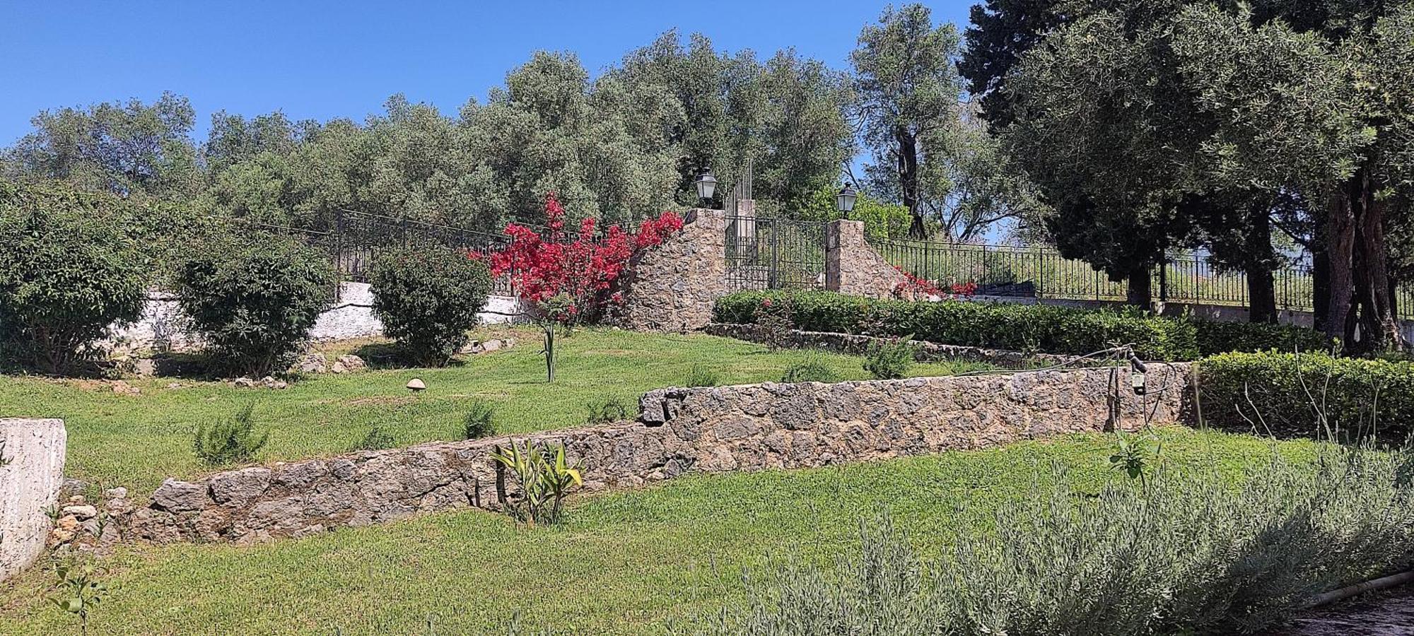 Penelope Apartment Hotel Dassia (Corfu) Exterior foto